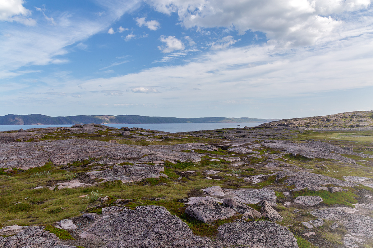 Териберка, image of landscape/habitat.