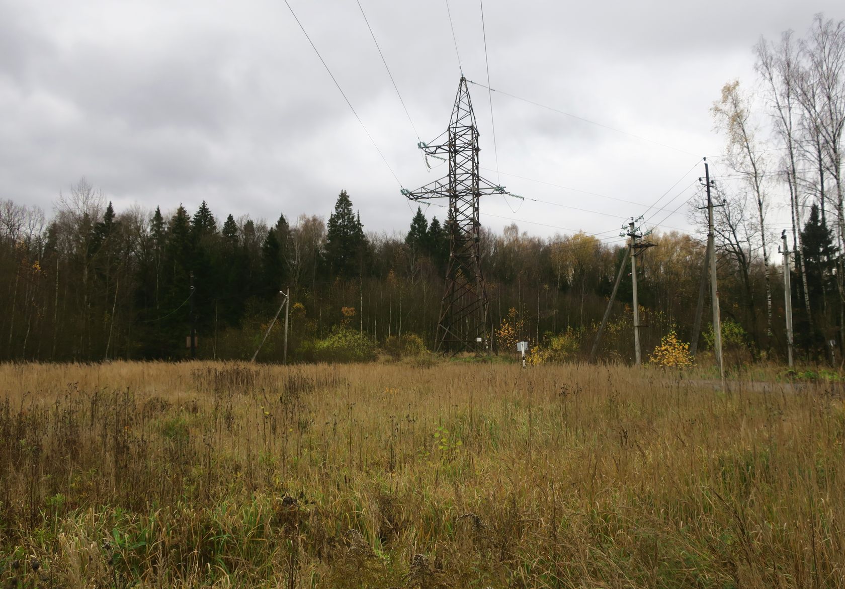 6-й км Красноармейского шоссе, image of landscape/habitat.