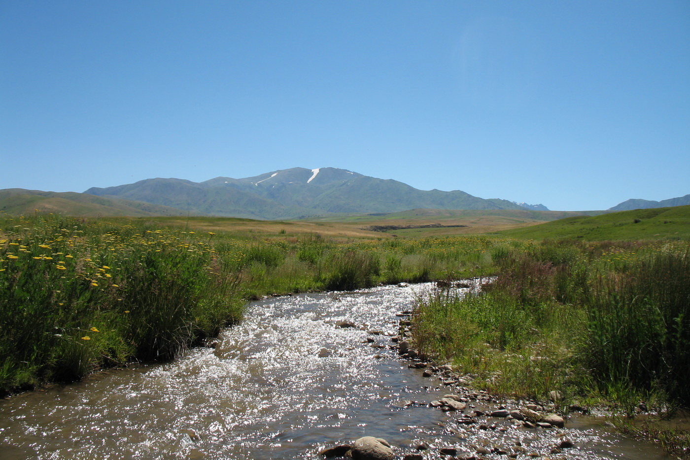 Плато Ирсу-Даубаба, image of landscape/habitat.