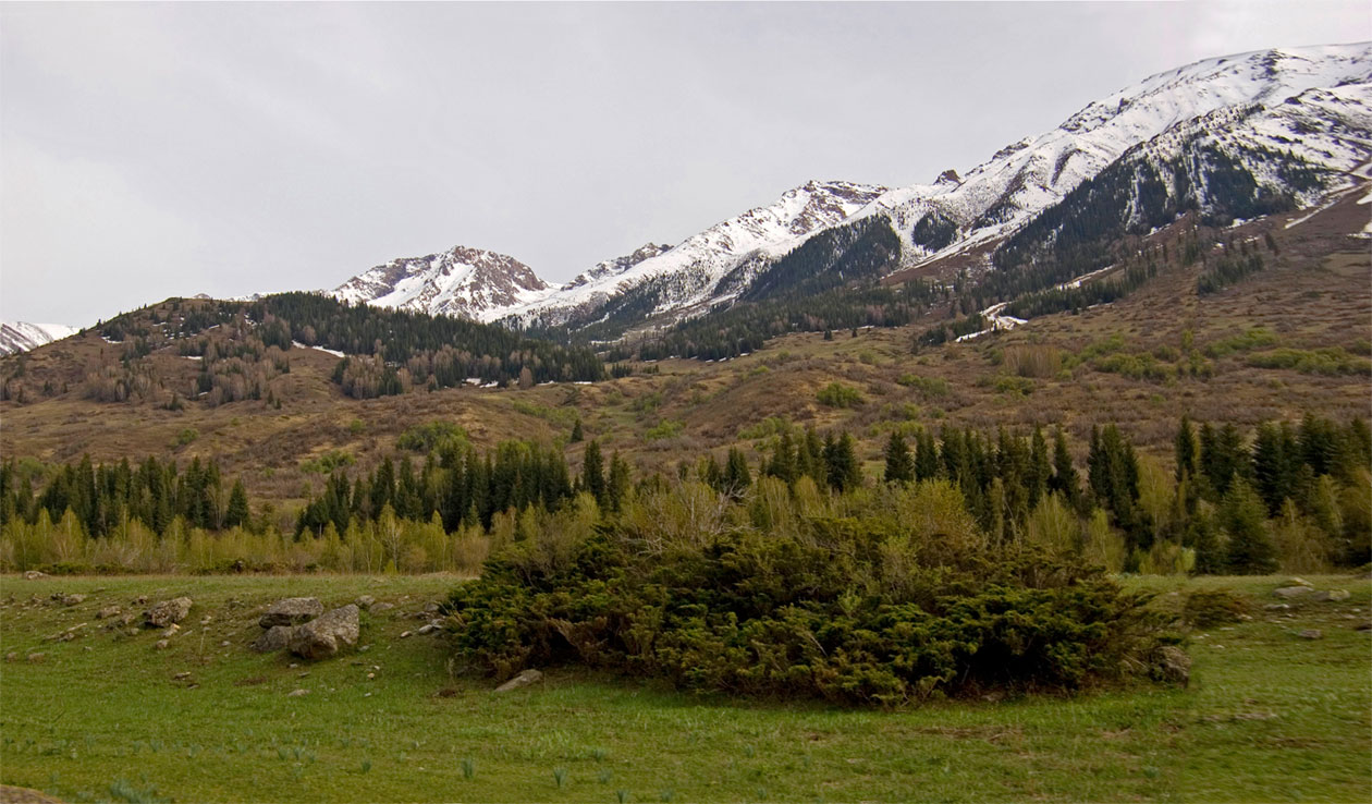 Верхнее ущелье, image of landscape/habitat.