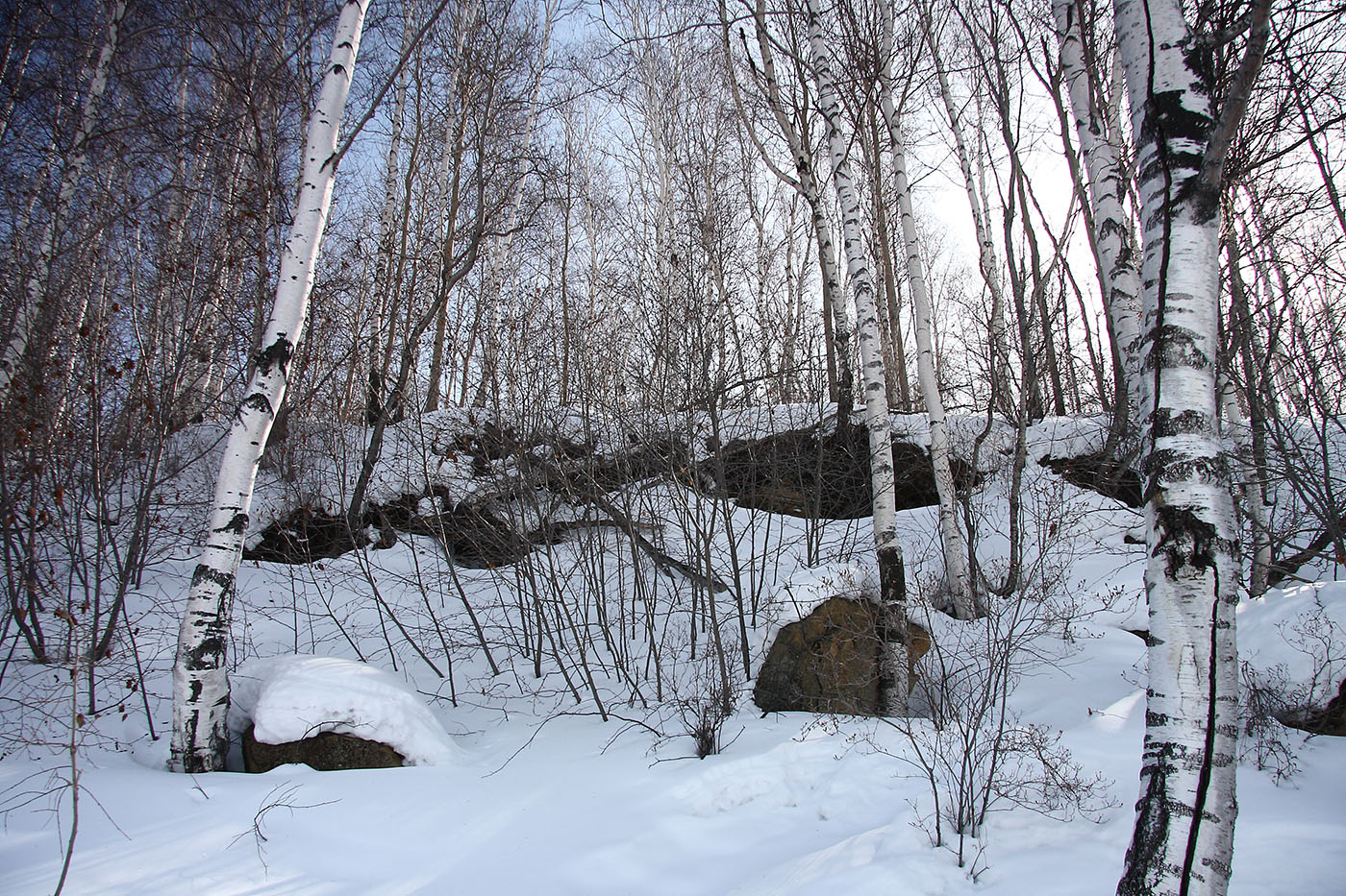 Тальцы, image of landscape/habitat.