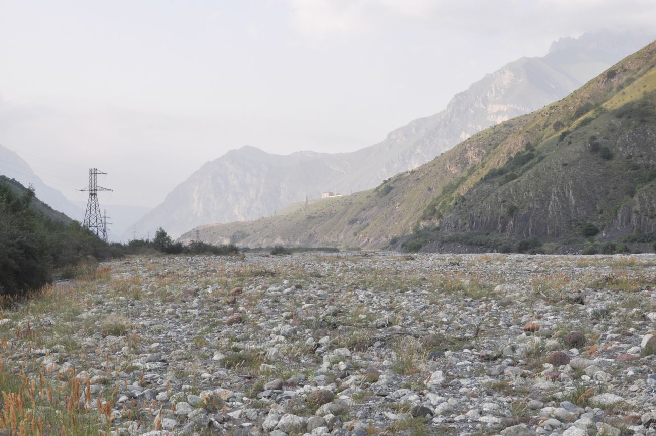 Окрестности села Нижний Ларс, image of landscape/habitat.