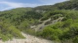 Image of landscape