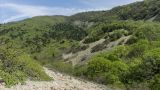 Мыс Большой Утриш, image of landscape/habitat.