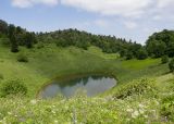 Чеше, image of landscape/habitat.