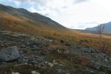 Image of landscape