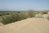 Image of landscape