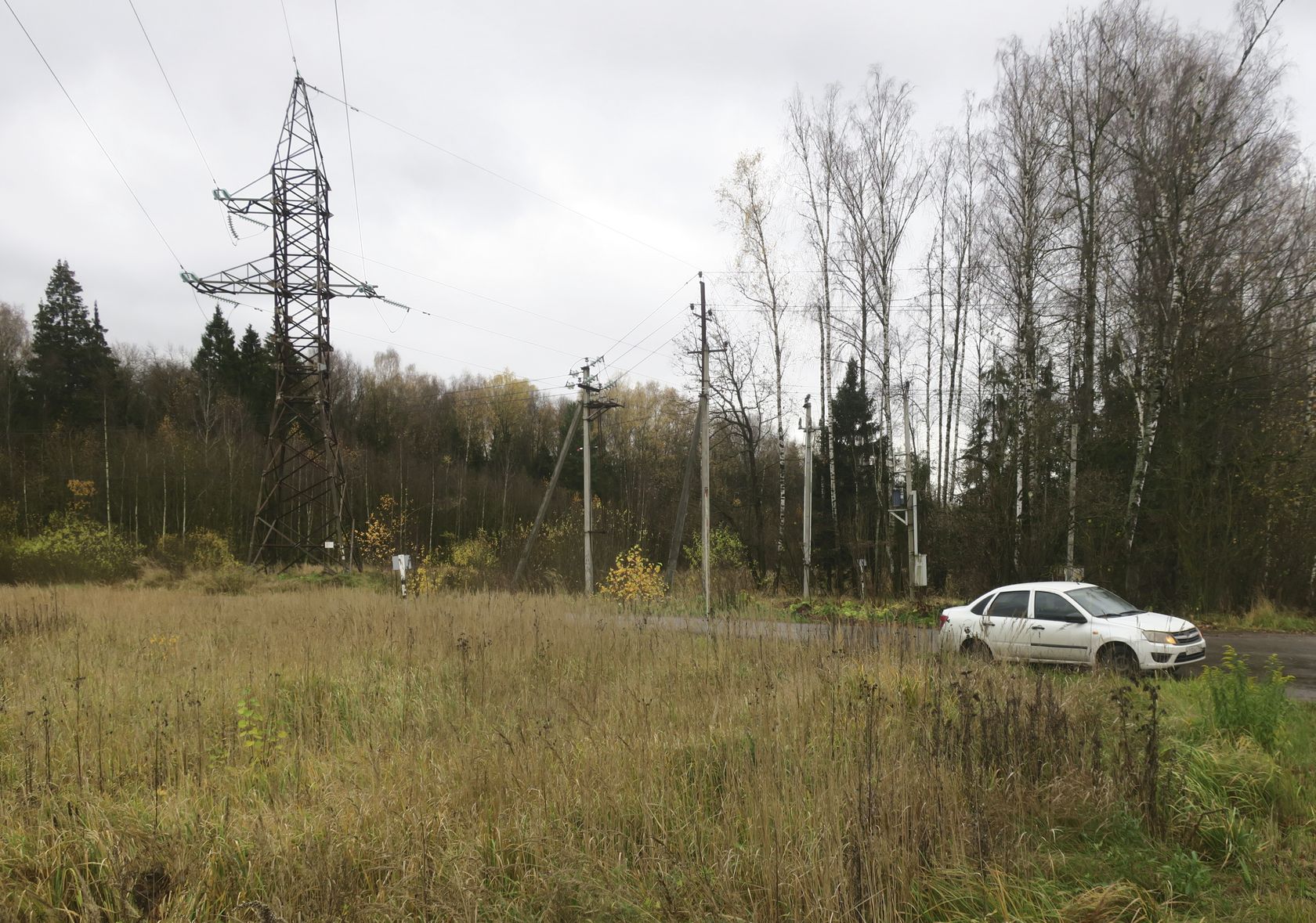 6-й км Красноармейского шоссе, image of landscape/habitat.