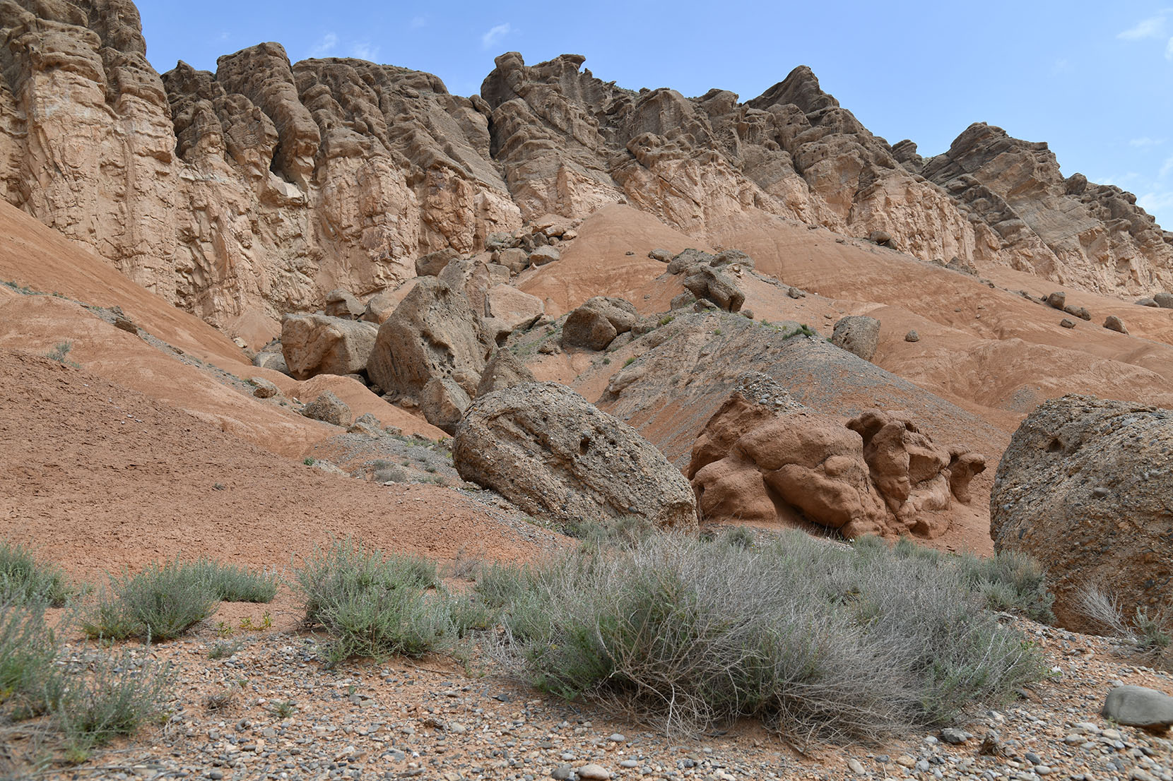 Исфара, image of landscape/habitat.