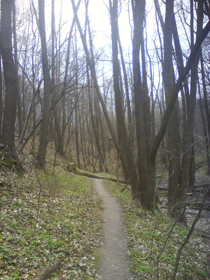 Китаевские пруды, image of landscape/habitat.