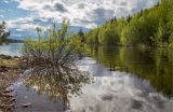 Ориярви, image of landscape/habitat.