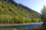 Image of landscape