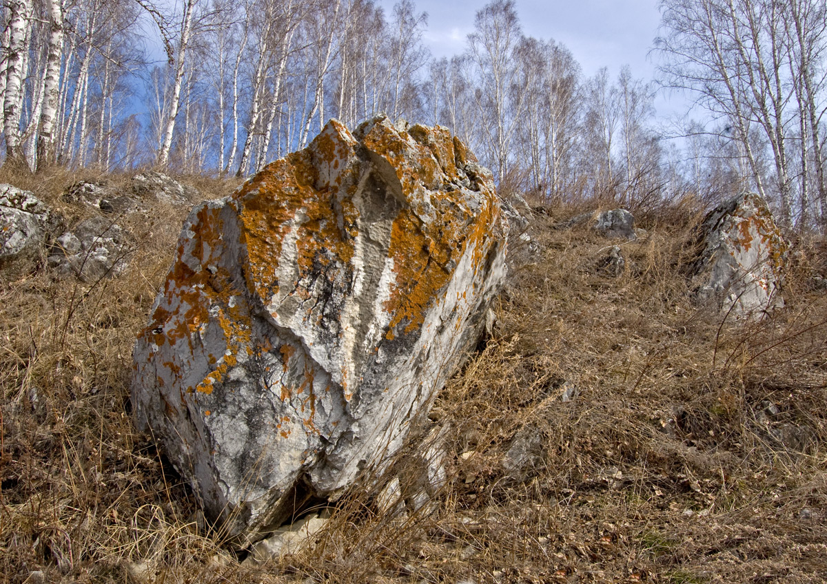 Окрестности деревни Бекленищева, image of landscape/habitat.