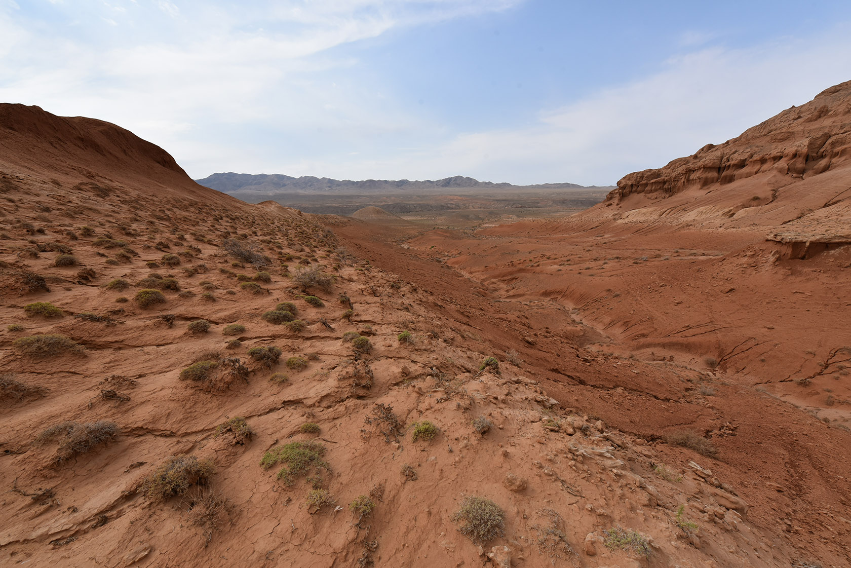 Горы Улькен-Богуты, image of landscape/habitat.