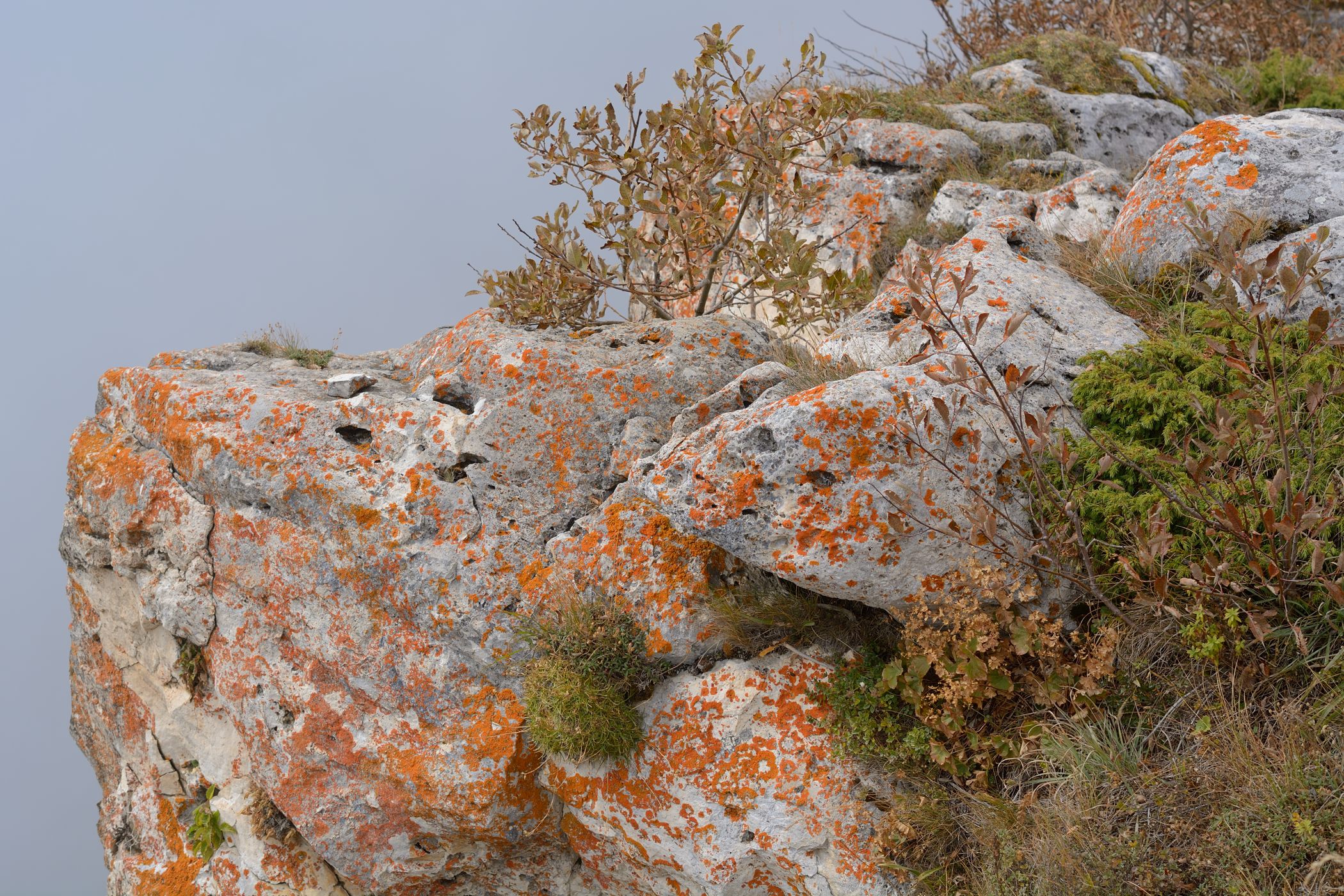 Каменное Море, image of landscape/habitat.