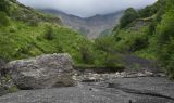 Image of landscape