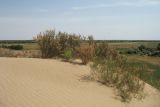 Image of landscape