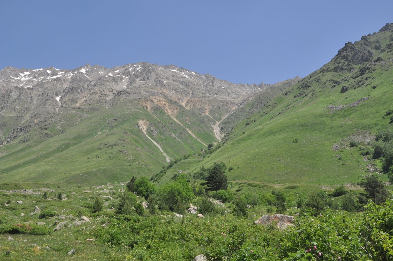 Сары-Кол, image of landscape/habitat.