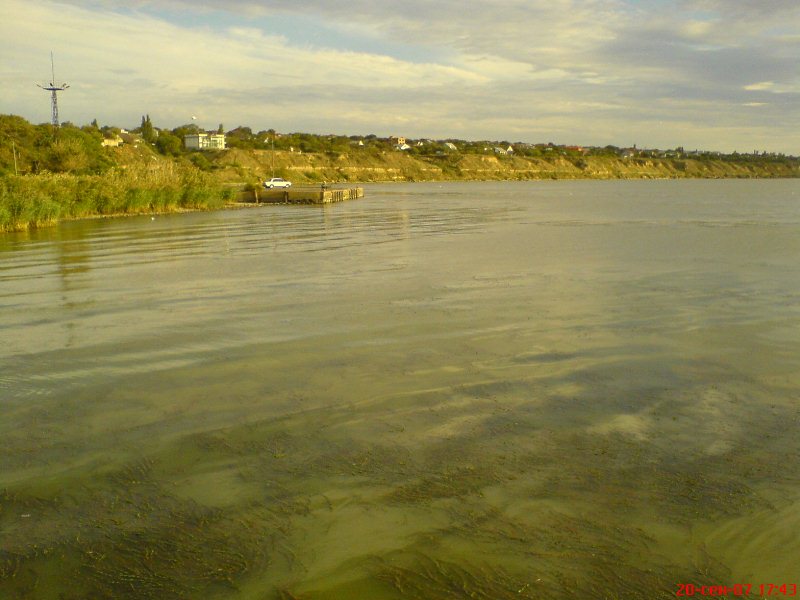 Днестровский лиман, image of landscape/habitat.