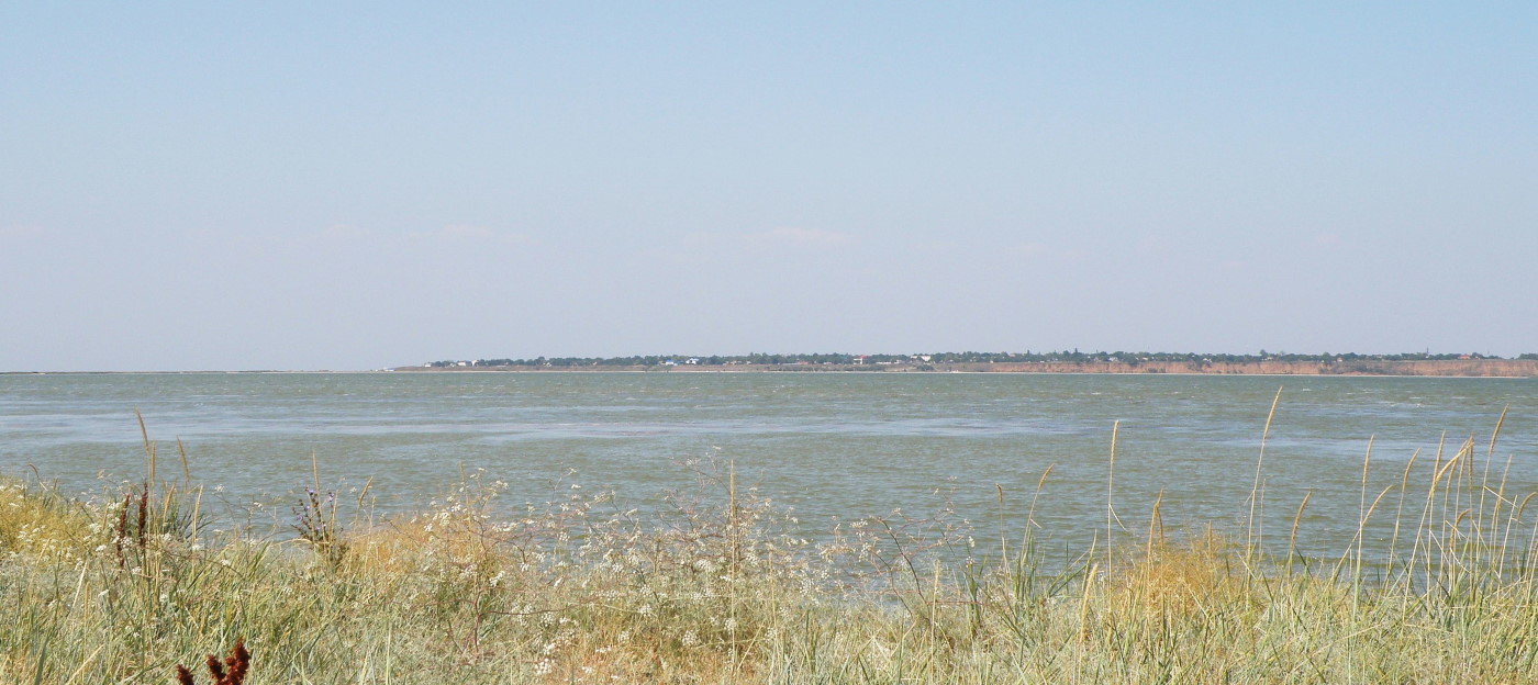 Глафировская коса, image of landscape/habitat.