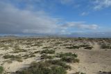 Image of landscape