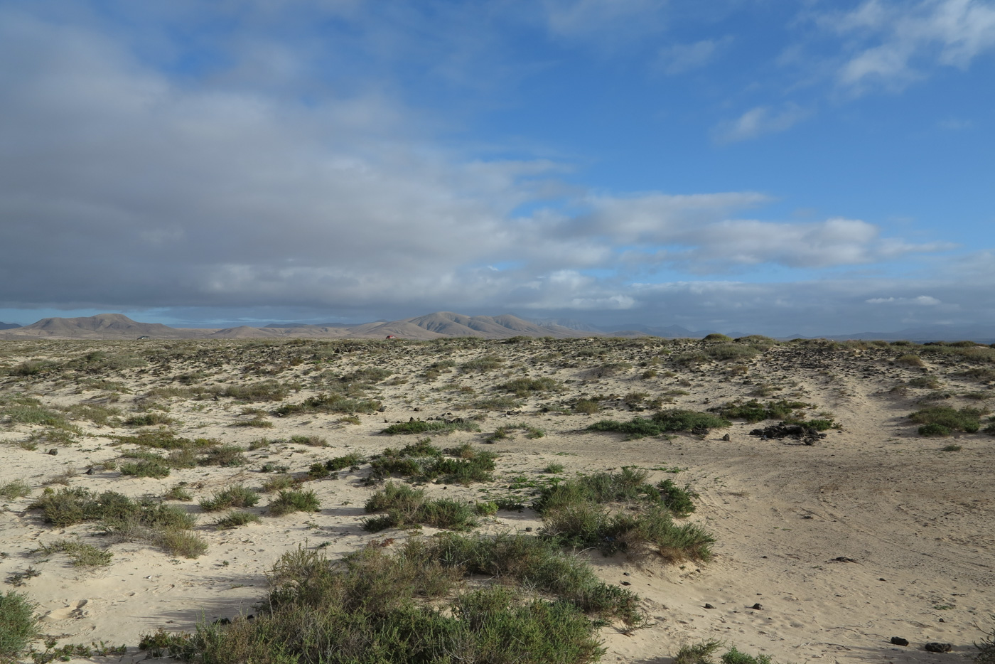 Эль Котильо и окрестности, image of landscape/habitat.