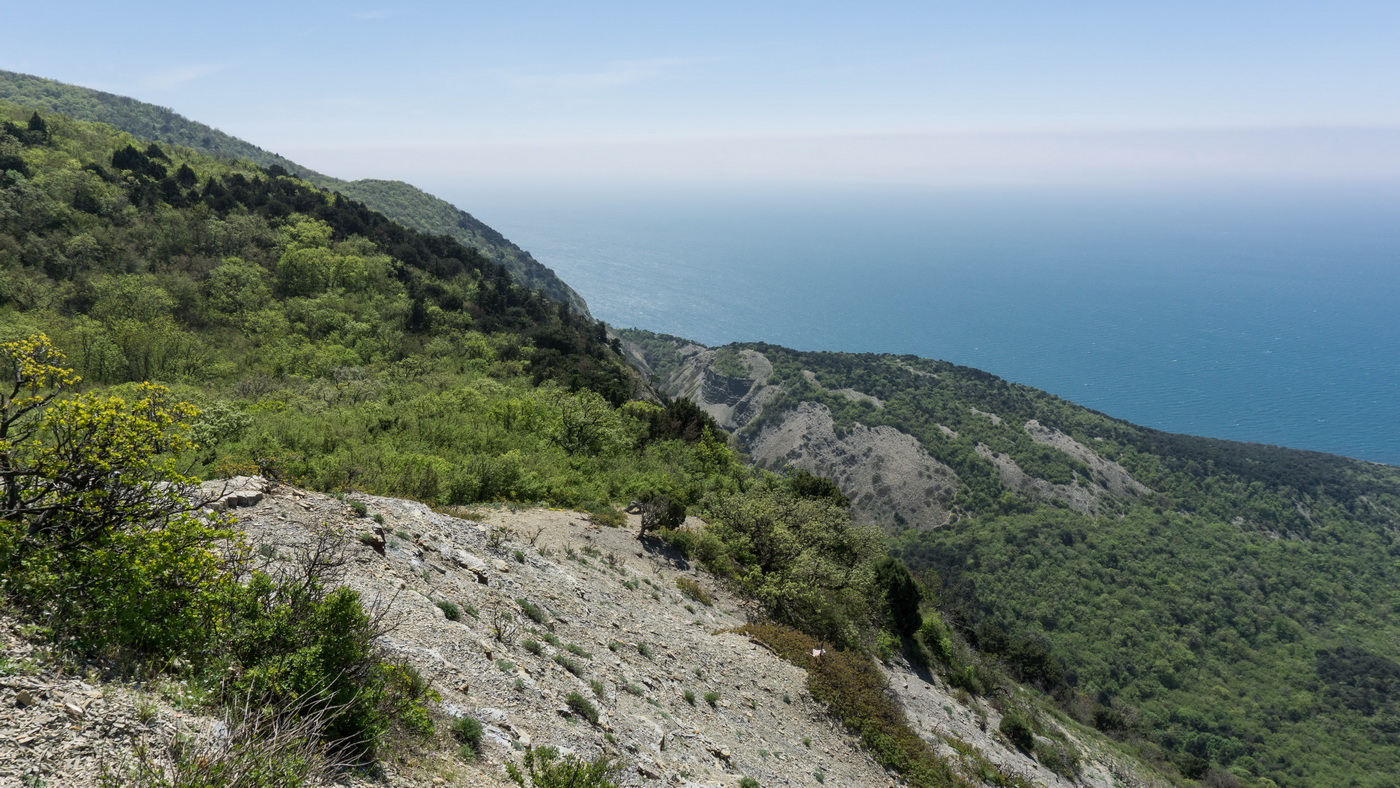 Мыс Большой Утриш, image of landscape/habitat.