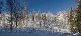 Окрестности деревни Отнурок, image of landscape/habitat.