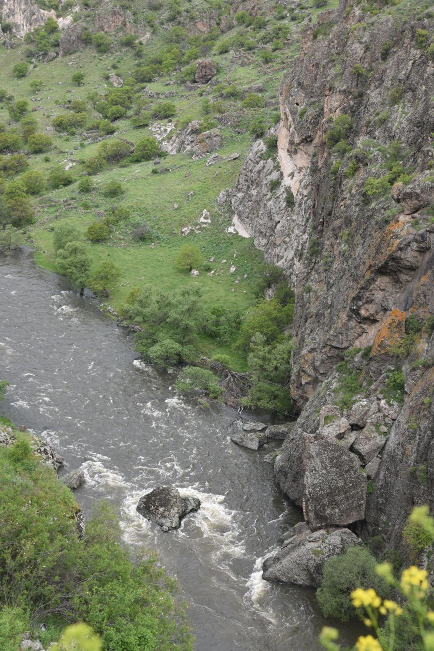 Окрестности крепости Тмогви, image of landscape/habitat.