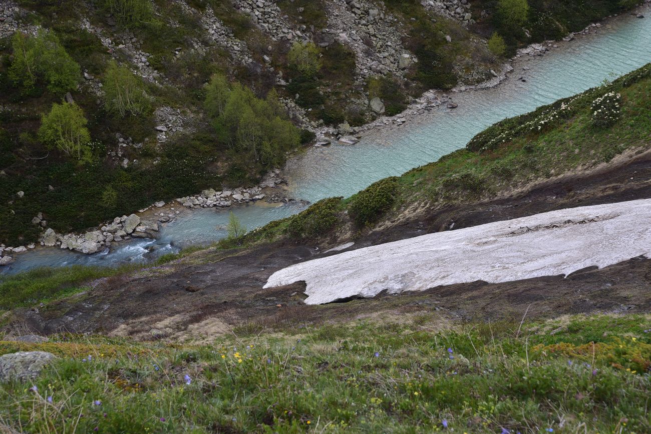 Долина реки Донгуз-Орун, image of landscape/habitat.