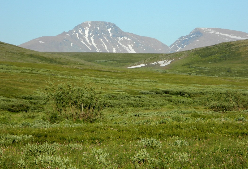 Левый Кечпель, image of landscape/habitat.