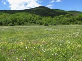 Image of landscape