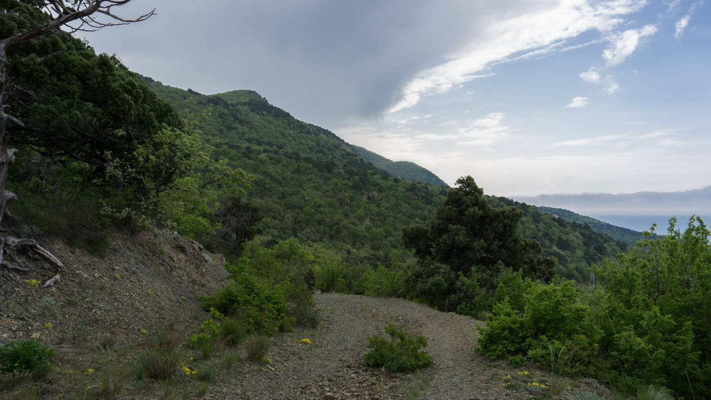 Мыс Большой Утриш, image of landscape/habitat.