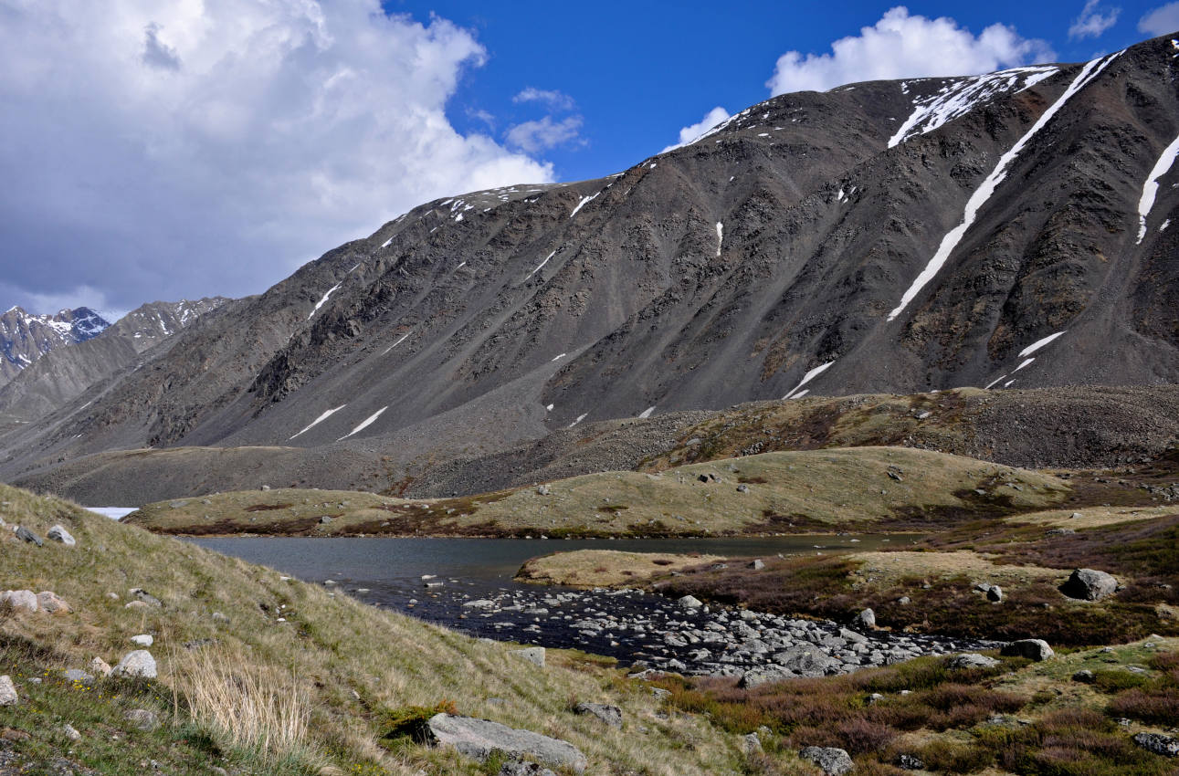 Долина реки Нарын-Гол, image of landscape/habitat.