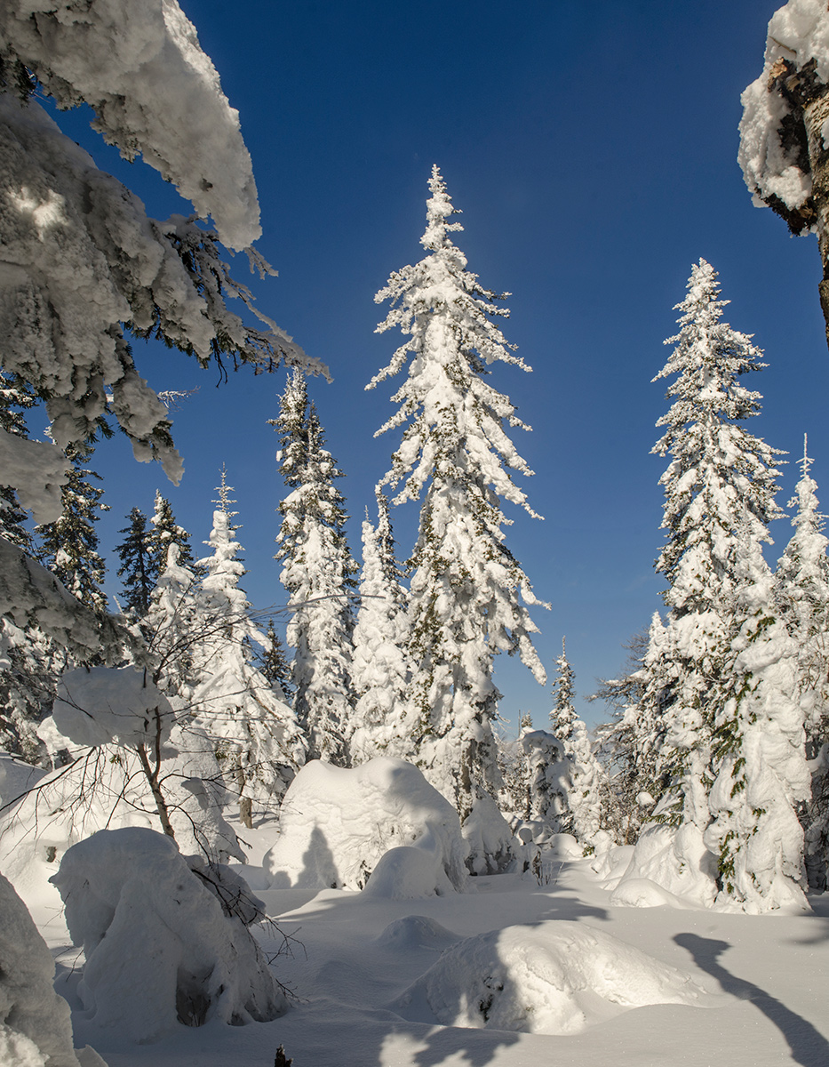 Окрестности деревни Отнурок, image of landscape/habitat.