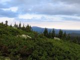 Image of landscape