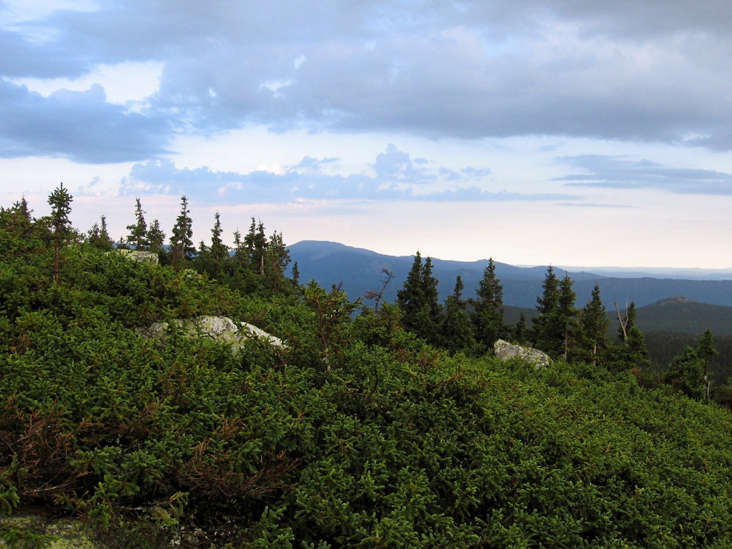 Зигальга, image of landscape/habitat.