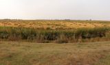 Image of landscape