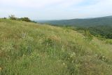 Вышка, image of landscape/habitat.
