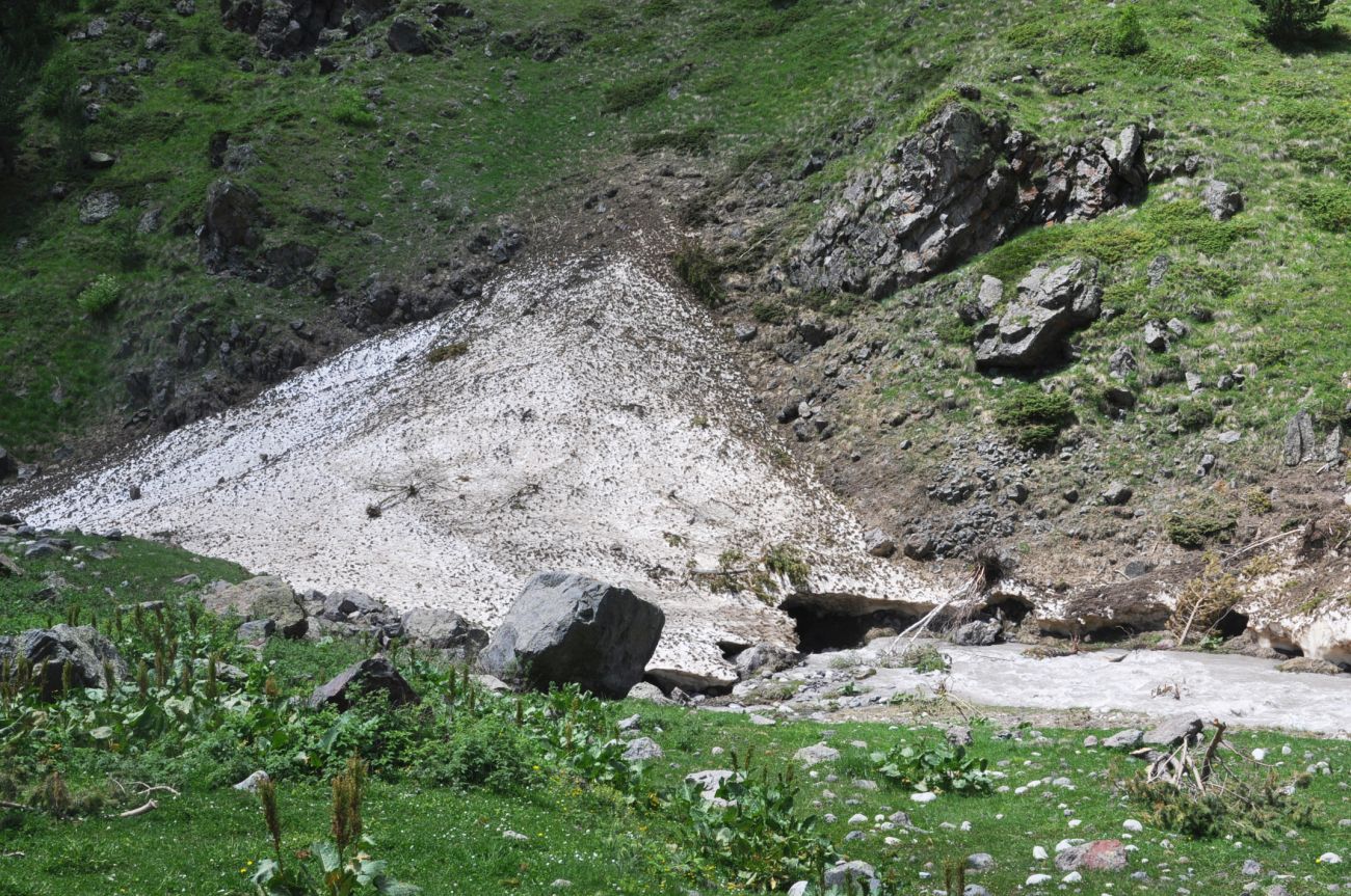 Долина реки Терскол, image of landscape/habitat.