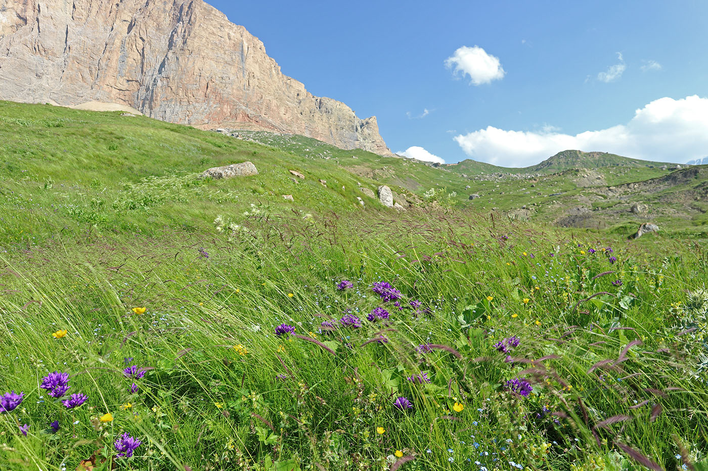 Гора Ерыдаг, image of landscape/habitat.