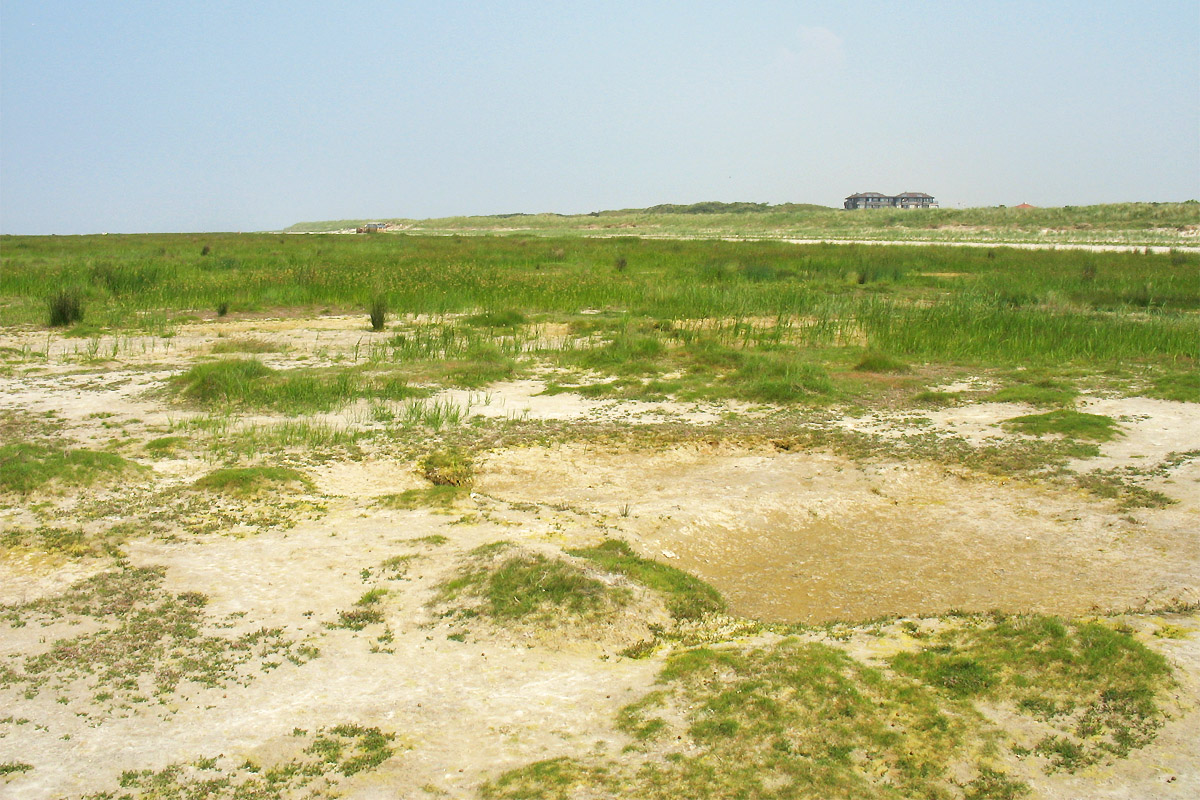 Схирмонниког (Schiermonnikoog), изображение ландшафта.