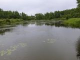 Image of landscape