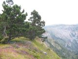 Image of landscape