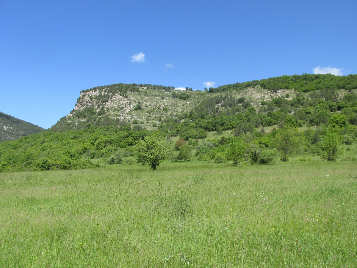 Чернореченский каньон, image of landscape/habitat.