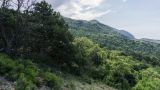 Мыс Большой Утриш, image of landscape/habitat.