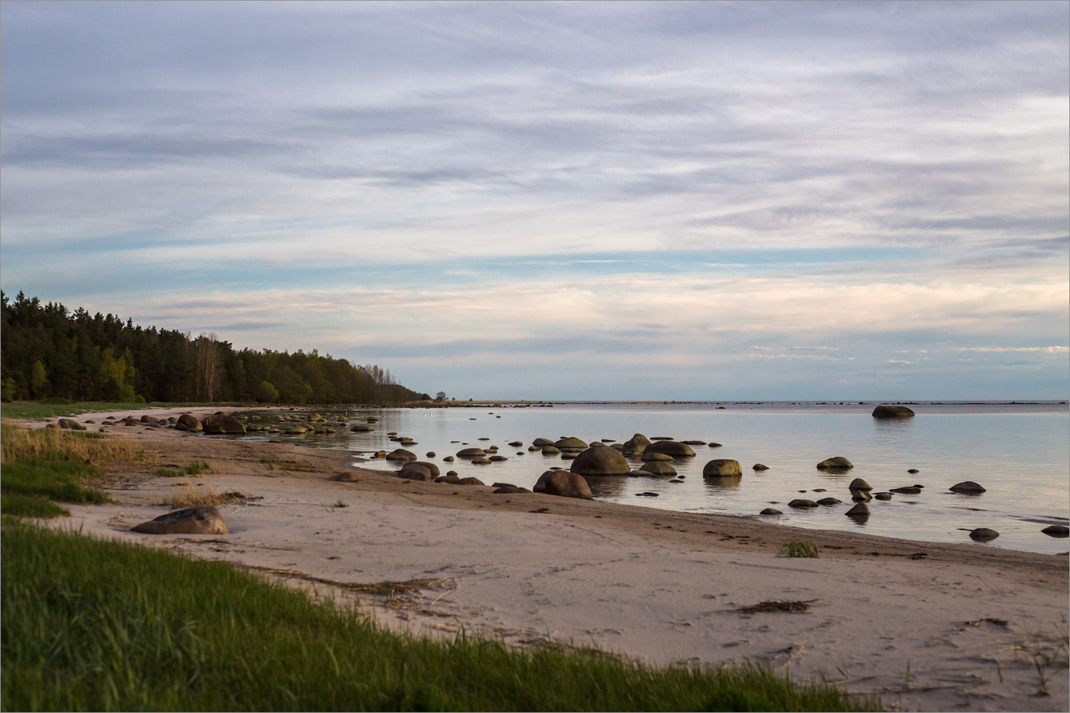 Окрестности Тисколово, image of landscape/habitat.