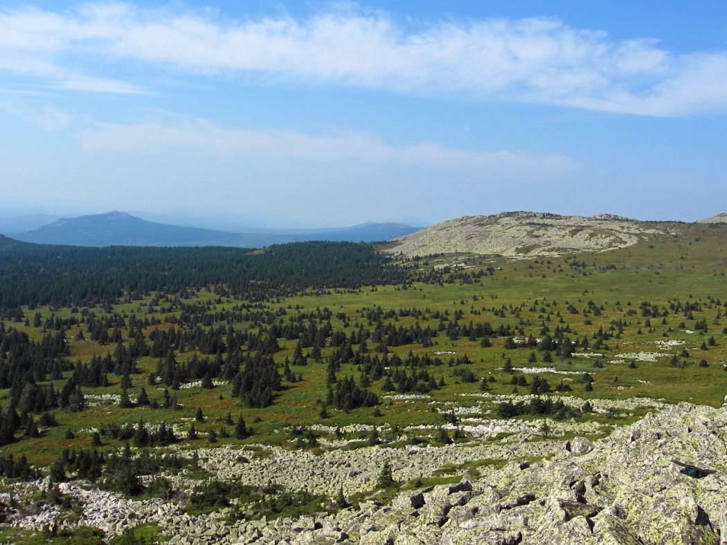 Зигальга, image of landscape/habitat.