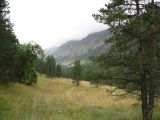 Image of landscape