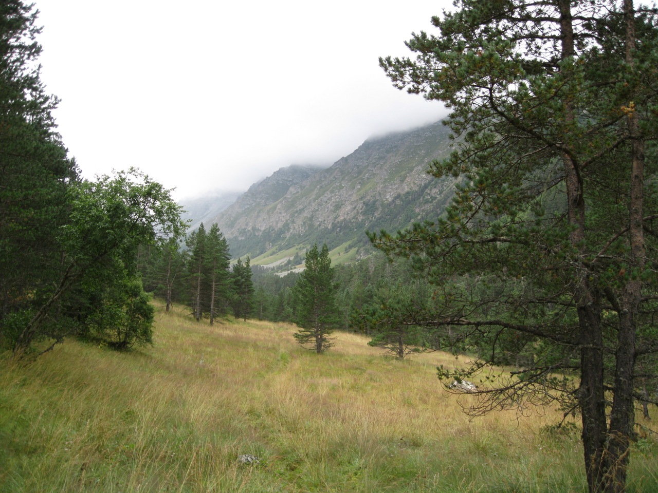 Ущелье Назылыкол, image of landscape/habitat.